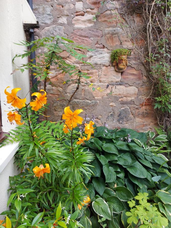 Oil Mill Lane Holiday Cottage Berwick Upon Tweed Exterior photo